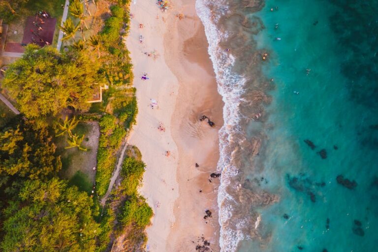 Best Beaches in Maui, Hawaii: A Traveler’s Guide to Paradise
