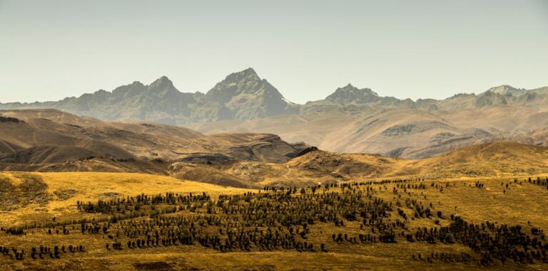 Best Things to Do in Patagonia, Argentina: A Complete Travel Guide