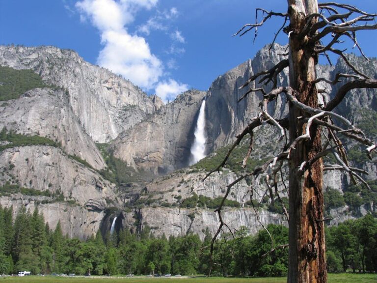 Top Attractions in Yosemite National Park, USA
